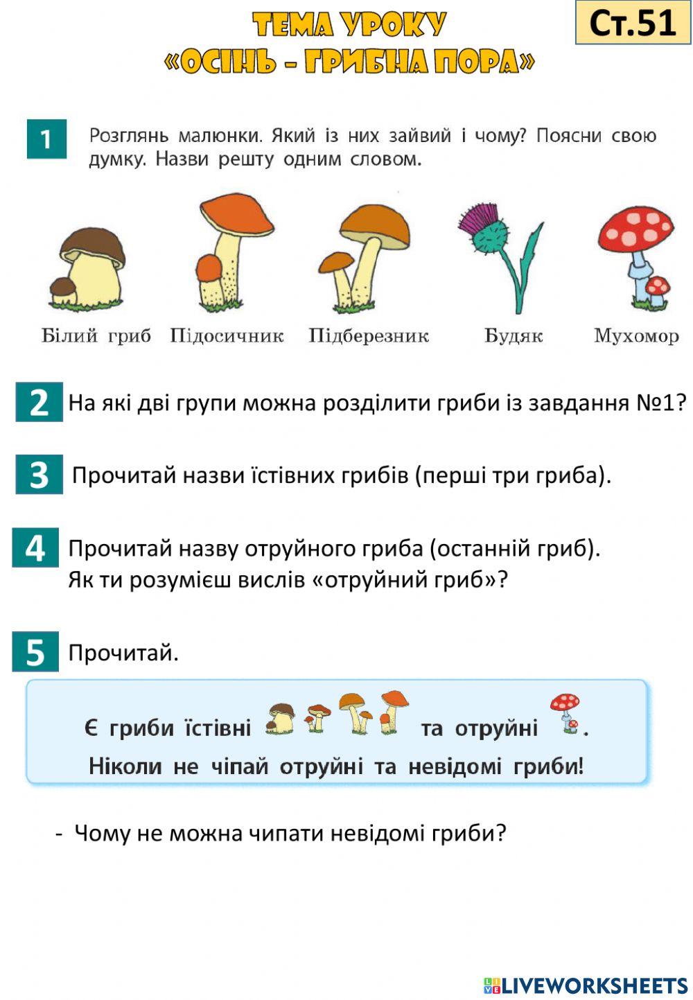 Осінь - грибна пора