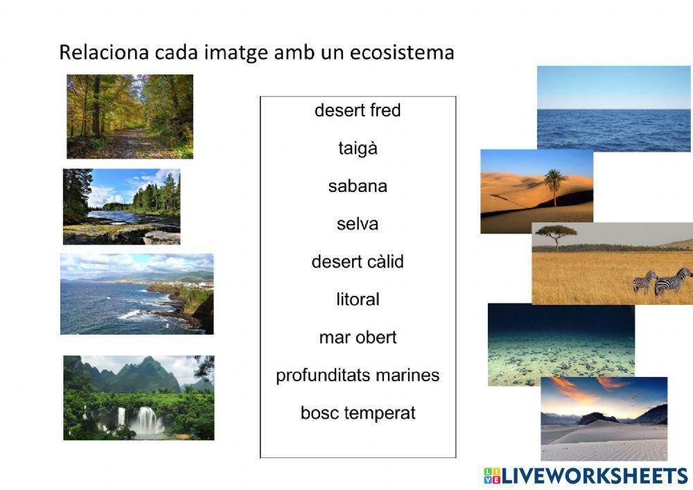 Ecosistemes terrestres i marins