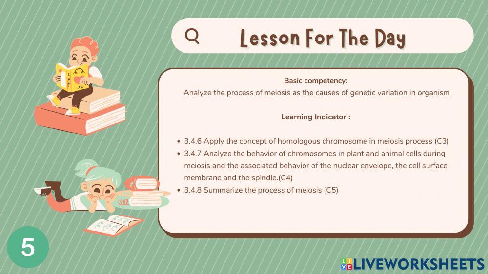 worksheet meiosis -2nd meeting (1)