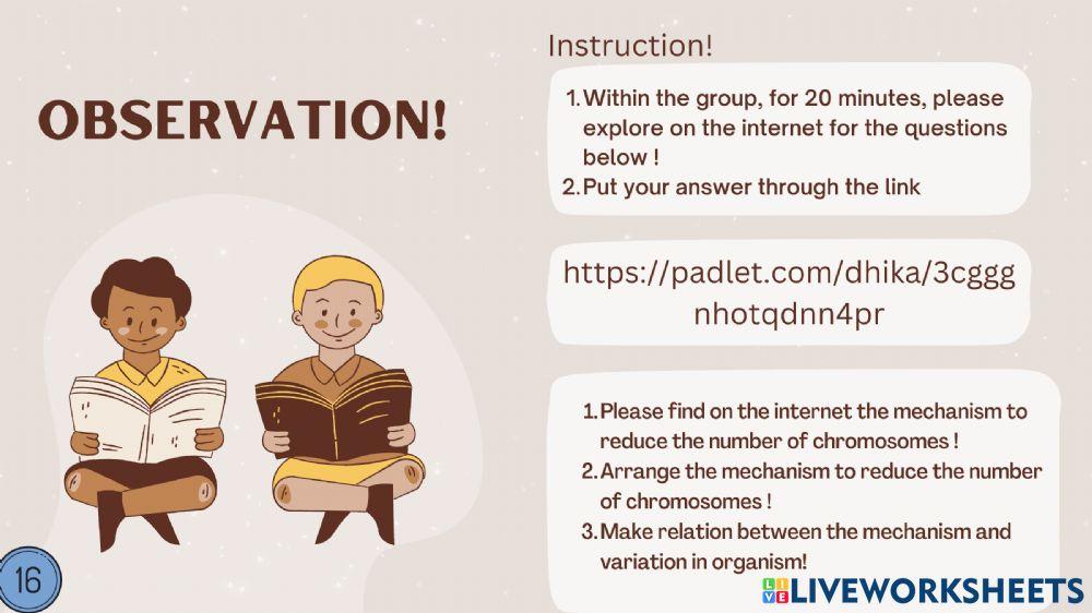 worksheet meiosis -2nd meeting (1)