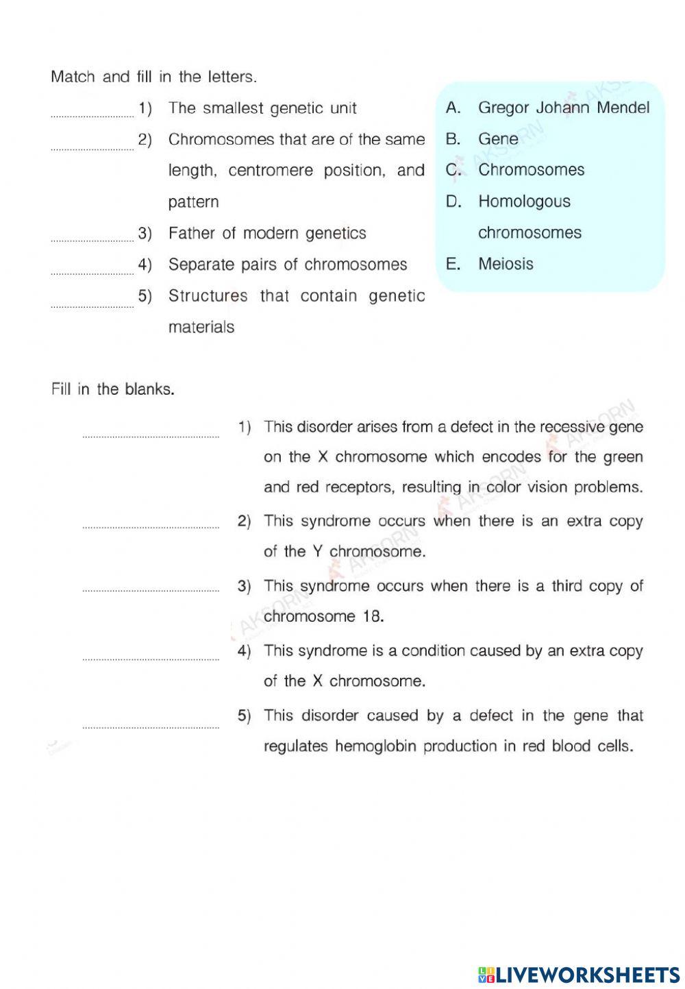 test-m3-term-1-online-exercise-for-live-worksheets