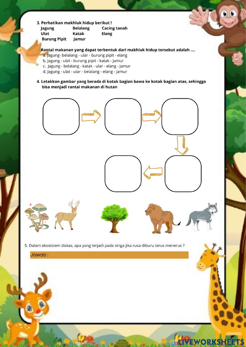 Soal Evaluasi Kelas 5, Tema 5 Subtema 2