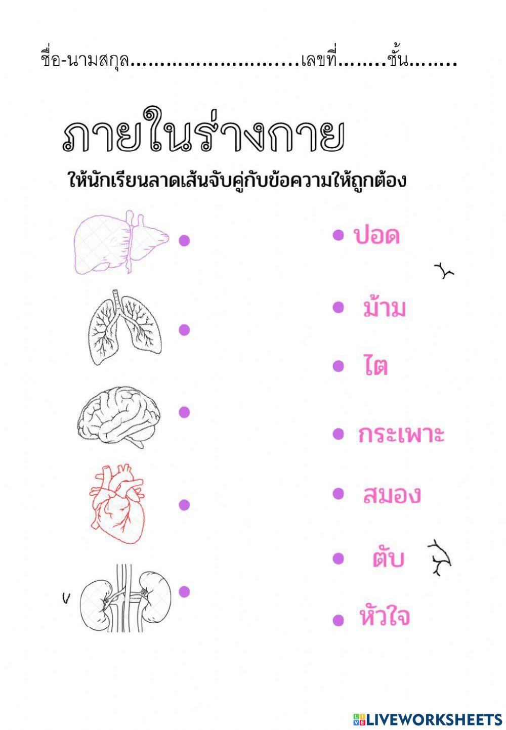 สุขศึกษา