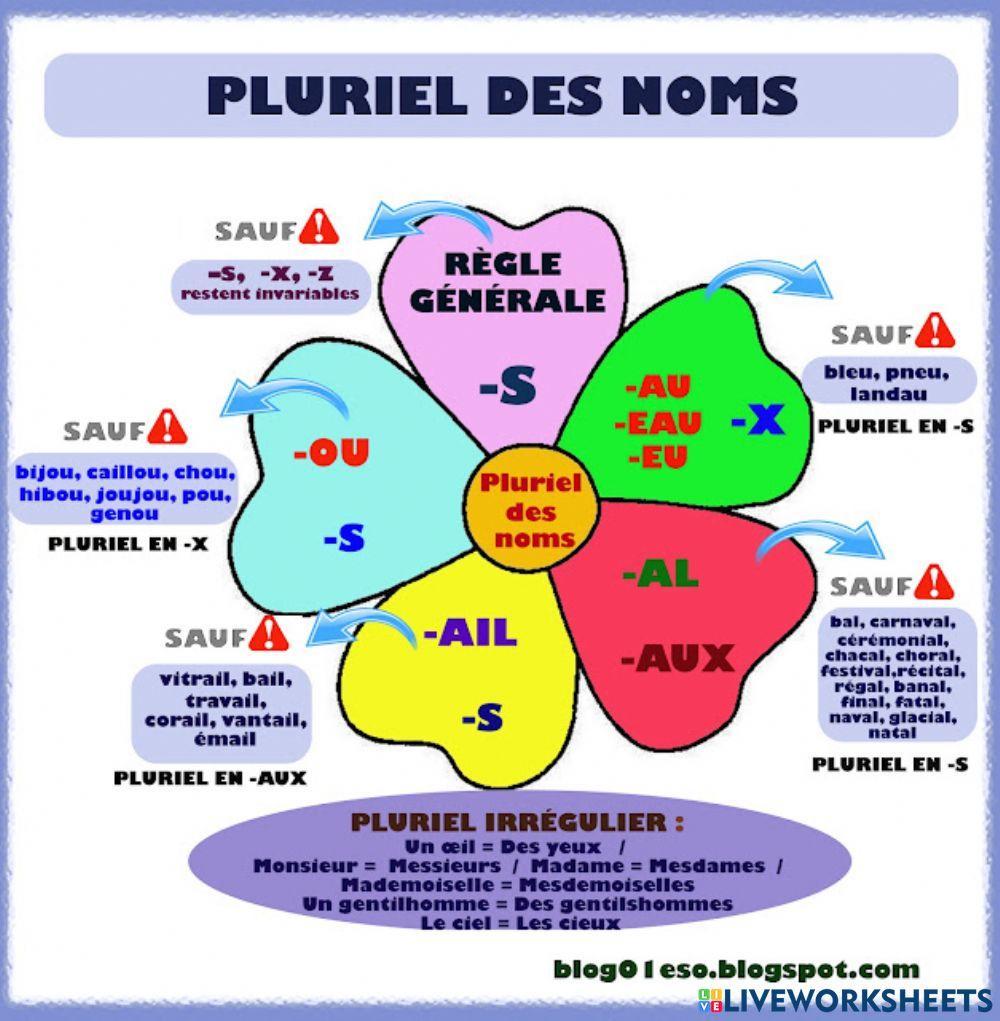 Francais: Pluriel de noms