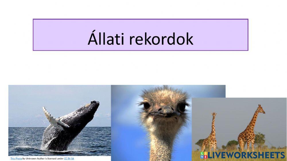 Állati rekordok - szövegértés