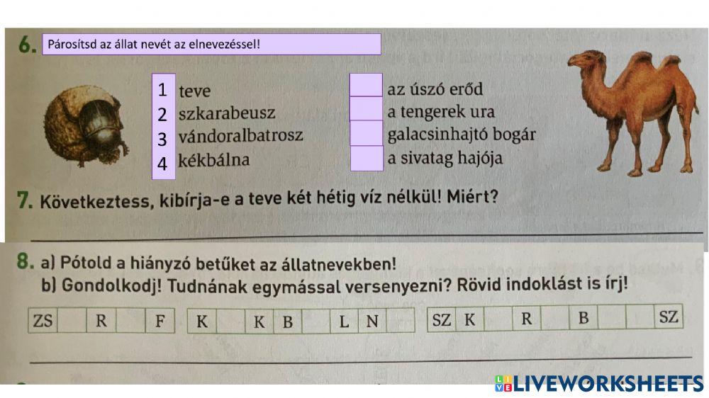 Állati rekordok - szövegértés