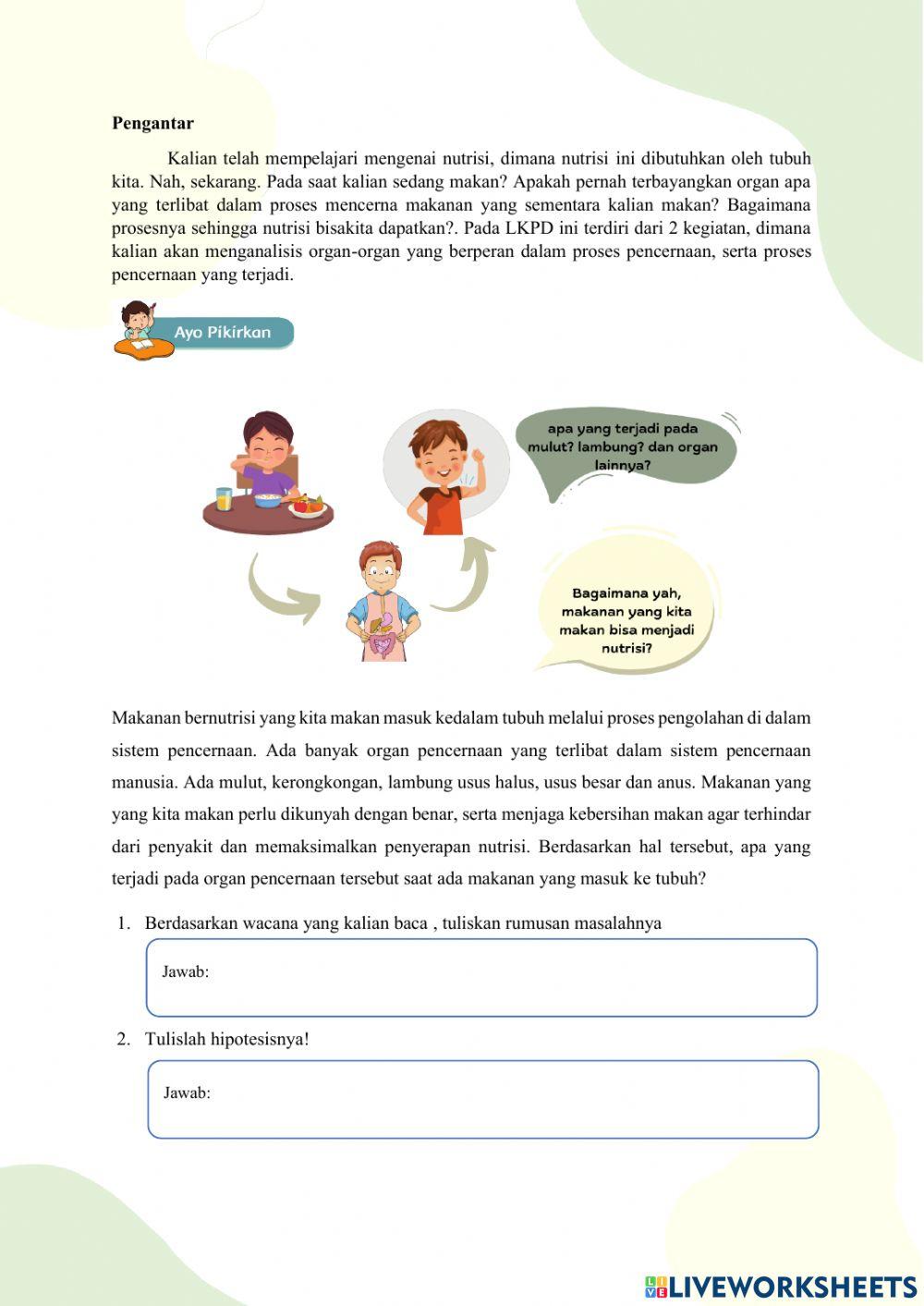 Mengenal organ pencernaan