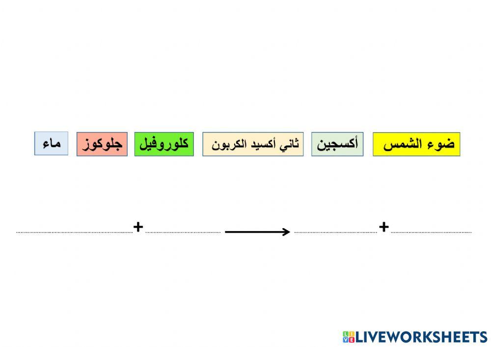 معادلة البناء الضوئي