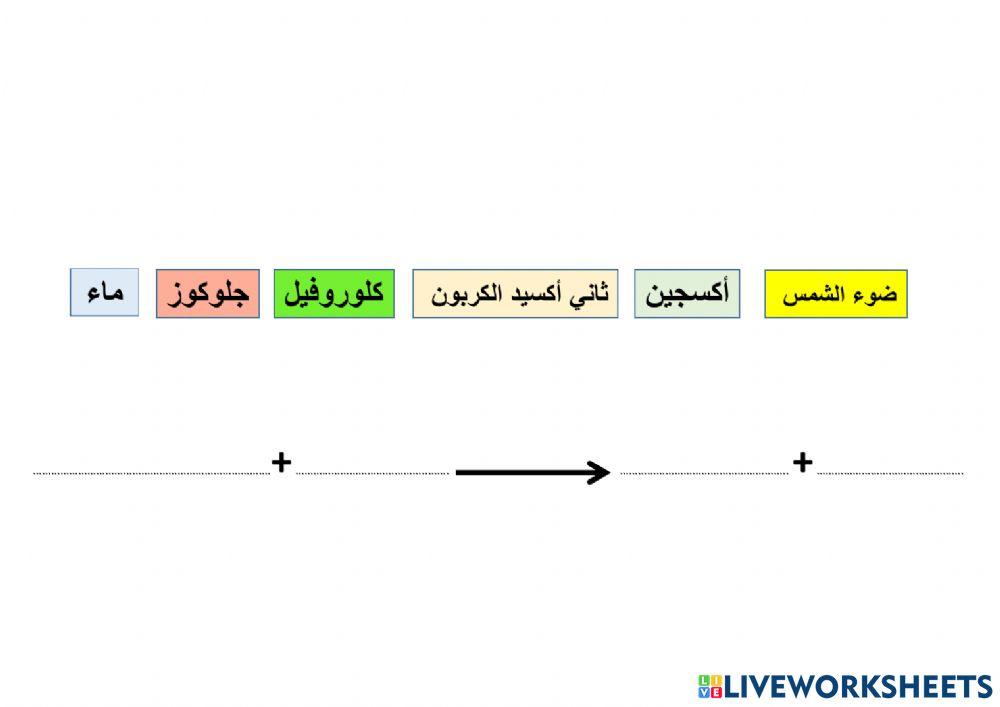 البناء الضوئي