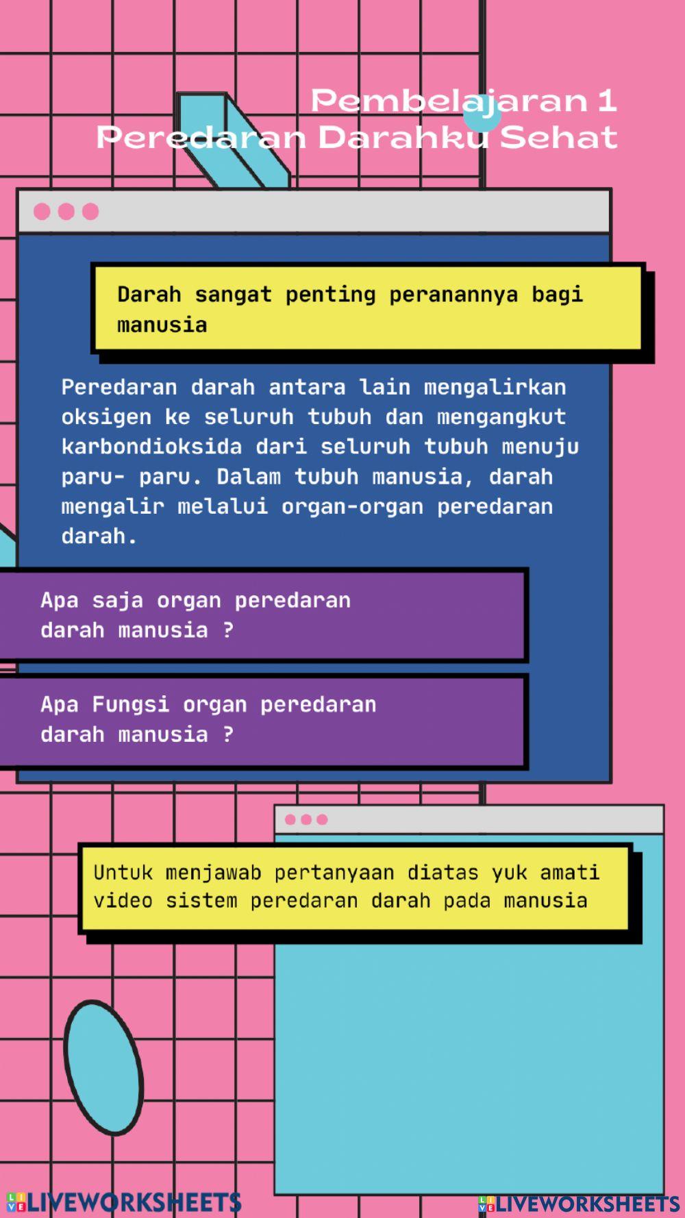 Sistem peredaran darah manusia