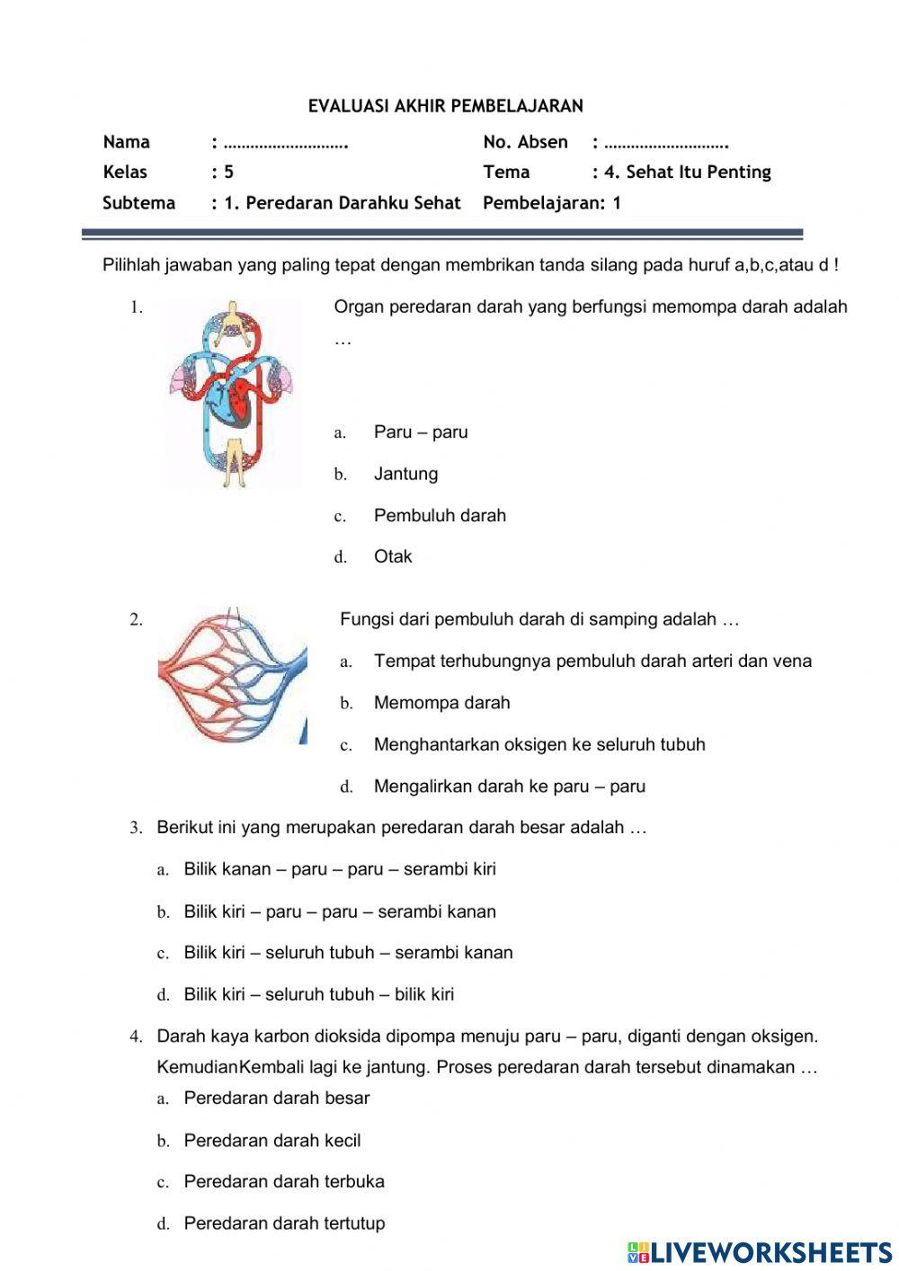 Lkpd peredaran darah