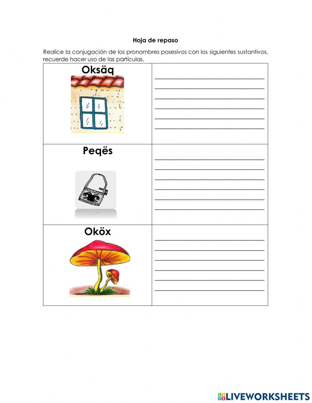 Sustantivos posesivos, verbo