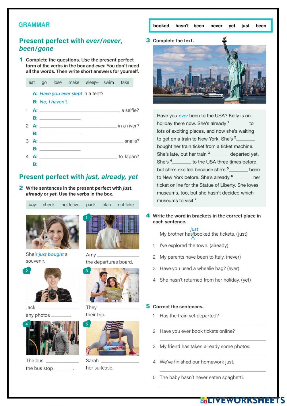 1st Grade. Term 1. Study Guide