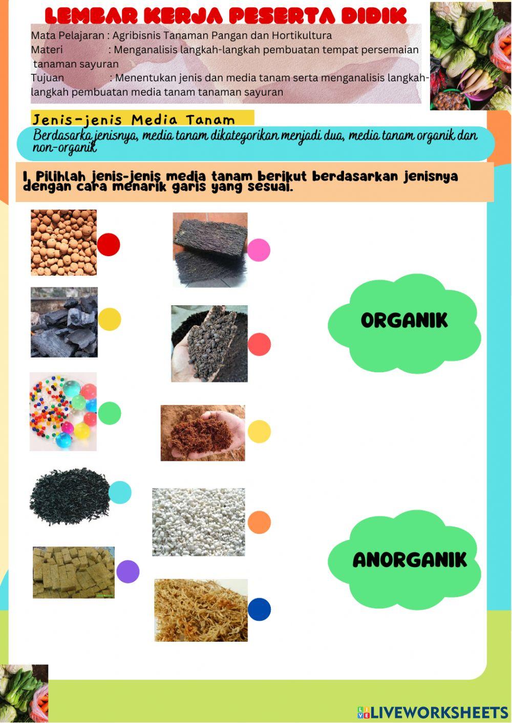 LKPD Pembuatan Persemaian Tanaman Sayuran