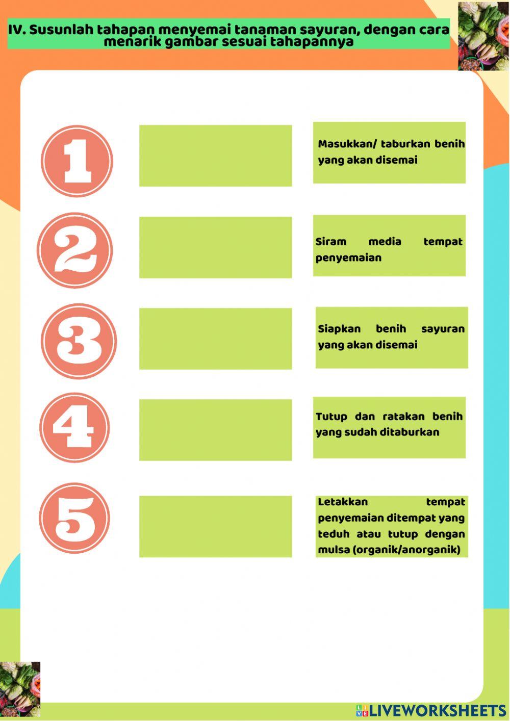 LKPD Pembuatan Persemaian Tanaman Sayuran