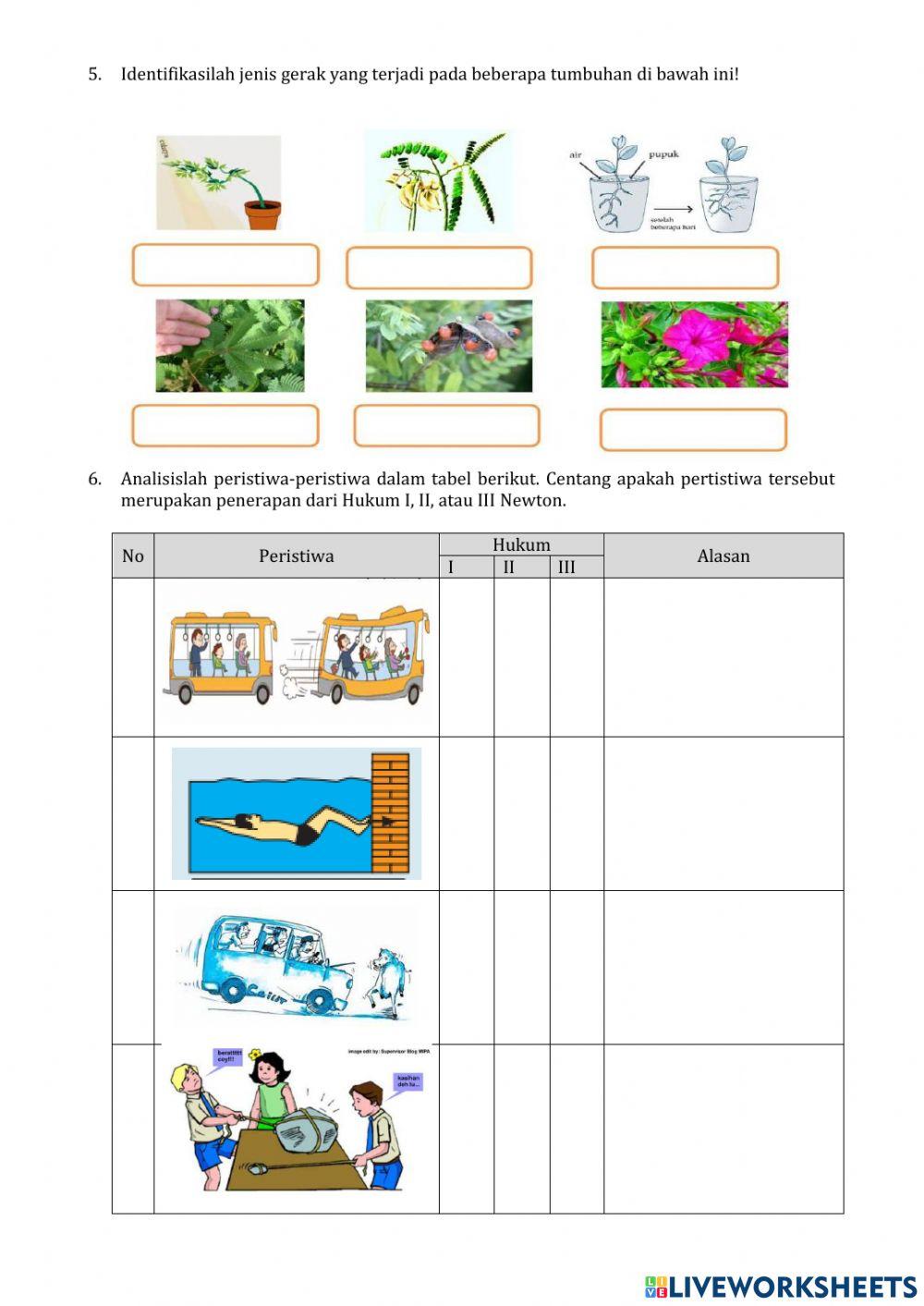LKPD IPA KELAS 8-2022-2023