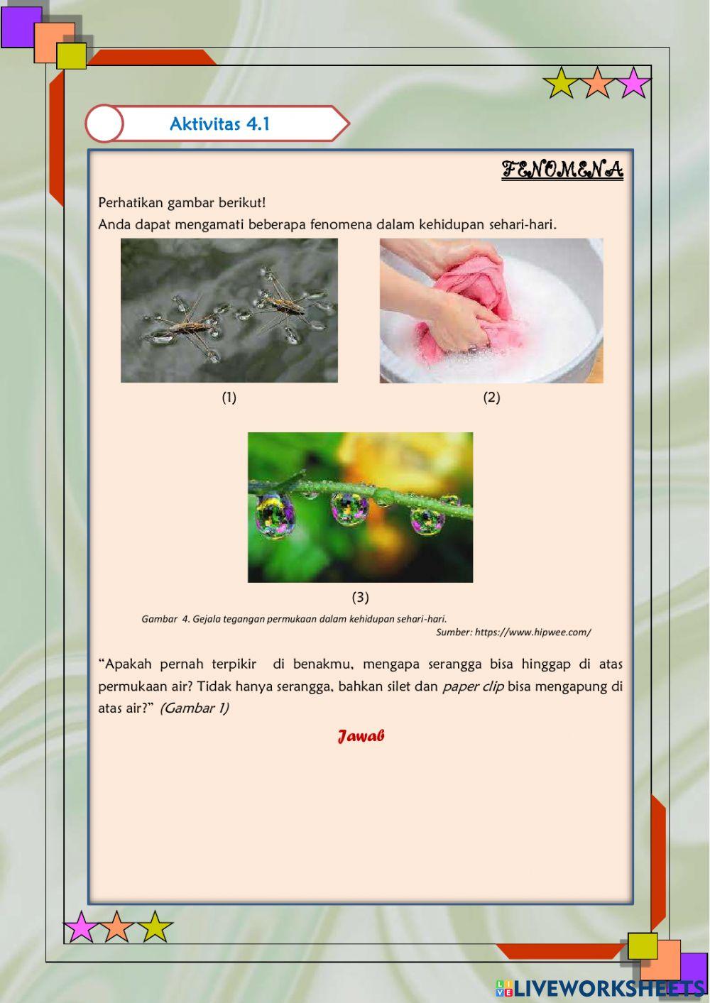 Tegangan Permukaan & Kapilaritas