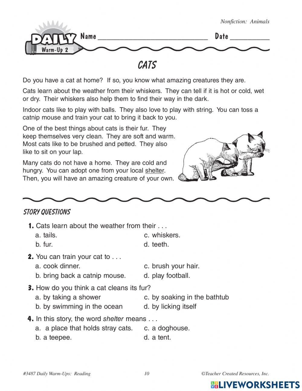 Reading comprehension