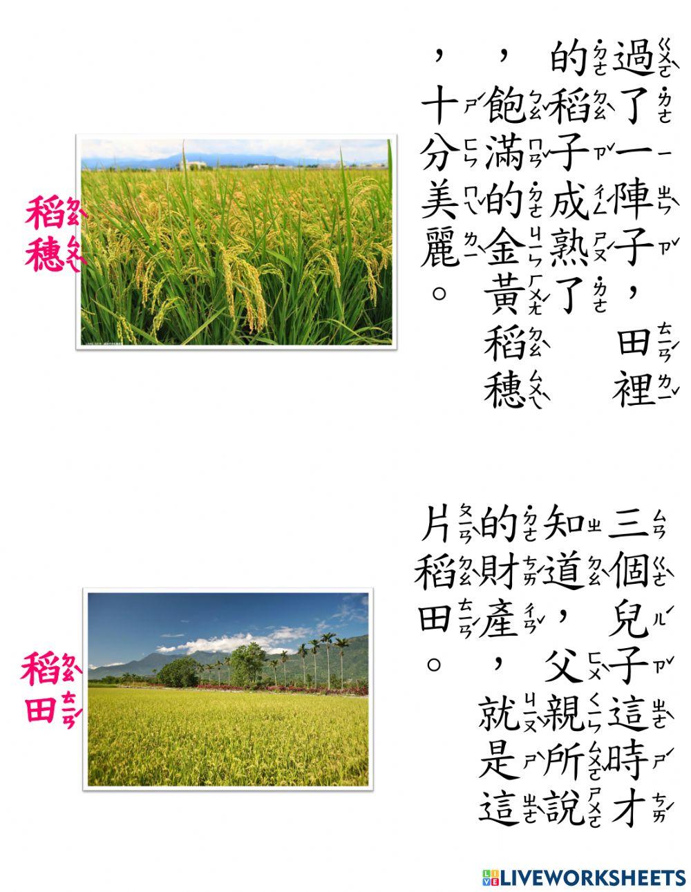 課文導讀最珍貴的財產