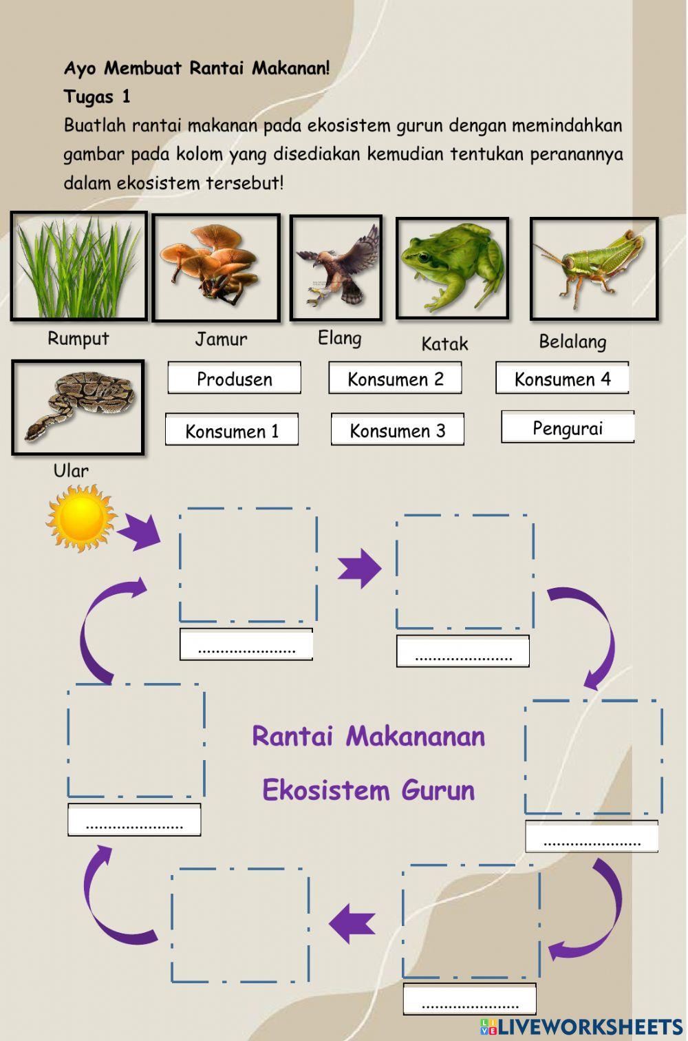 Lkpd rantai makanan (1)
