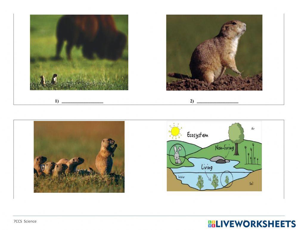 7CCS-SCIENCE 1st MIDTERM