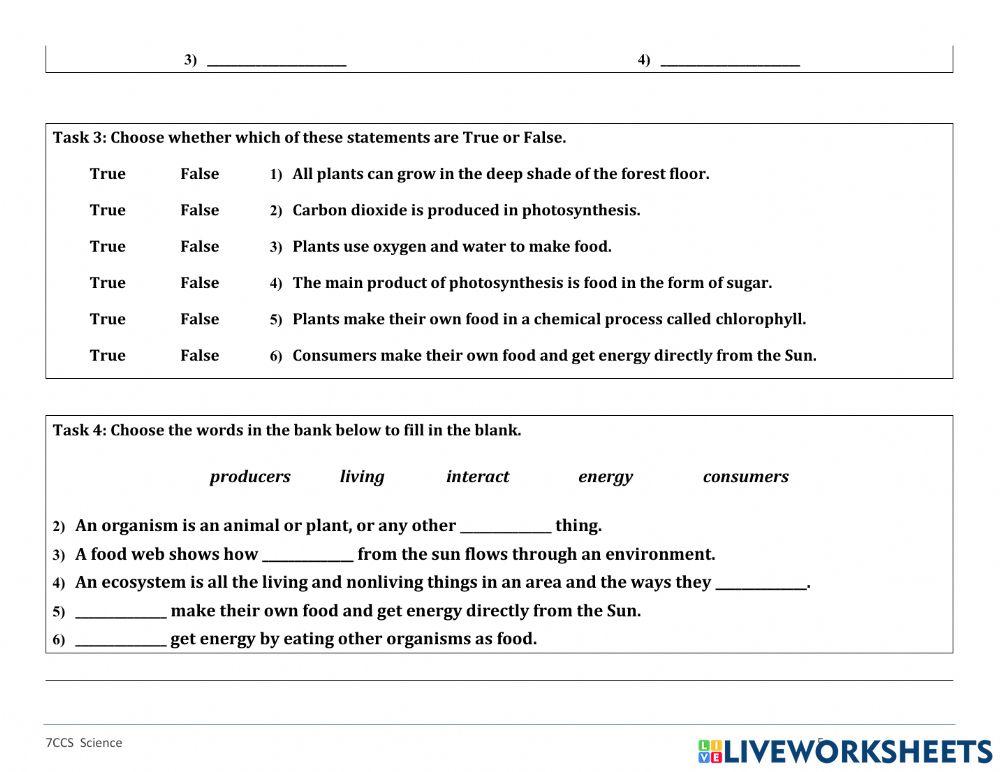 7CCS-SCIENCE 1st MIDTERM