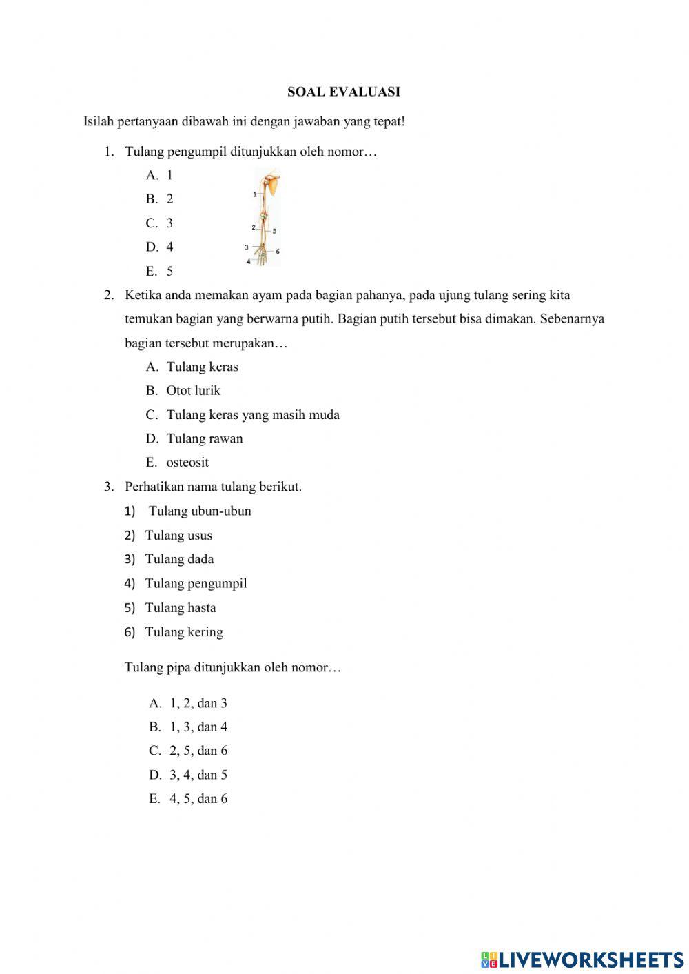 Soal Evaluasi Sistem Gerak Manusia