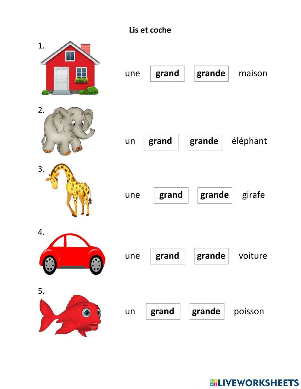 Le féminin de l'adjectif