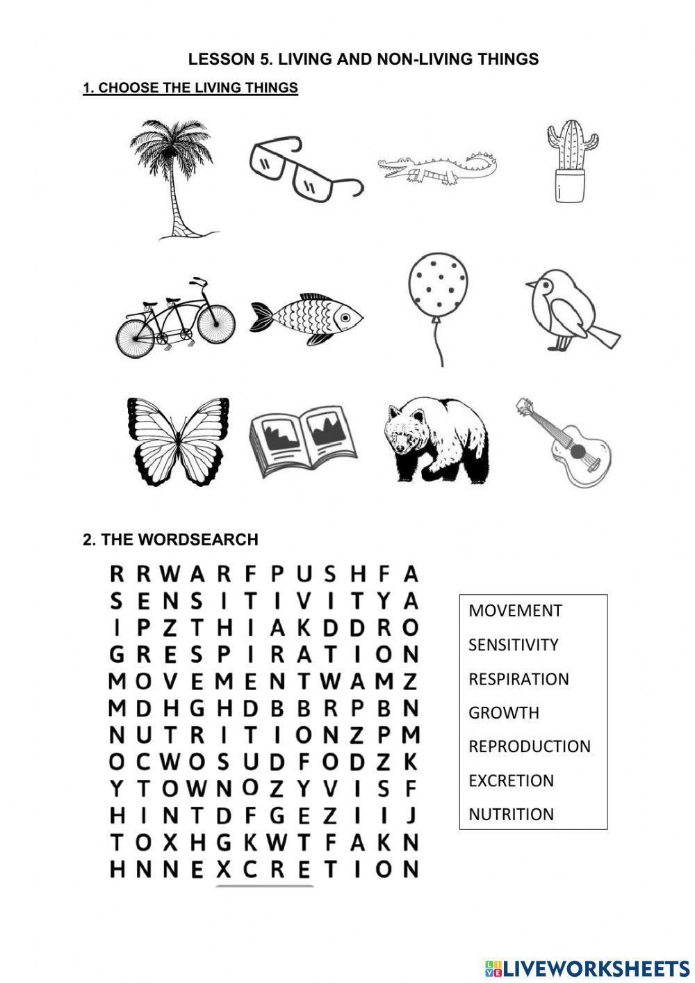 Lesson 5. living and nonliving things