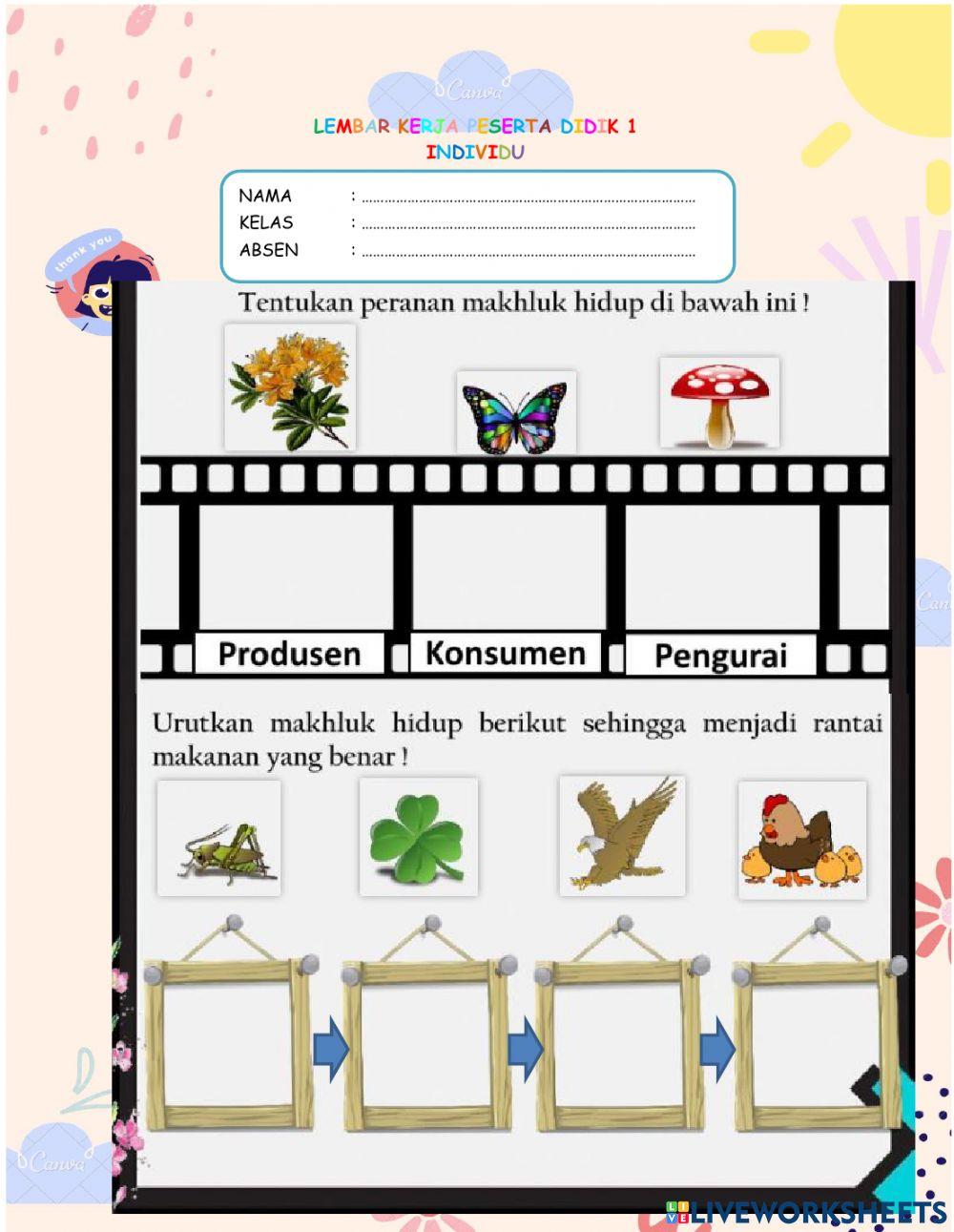 Rantai Makanan dan Jaring Makanan