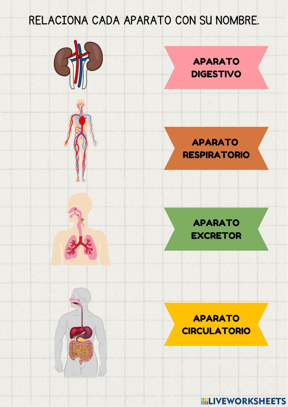 La nutrición