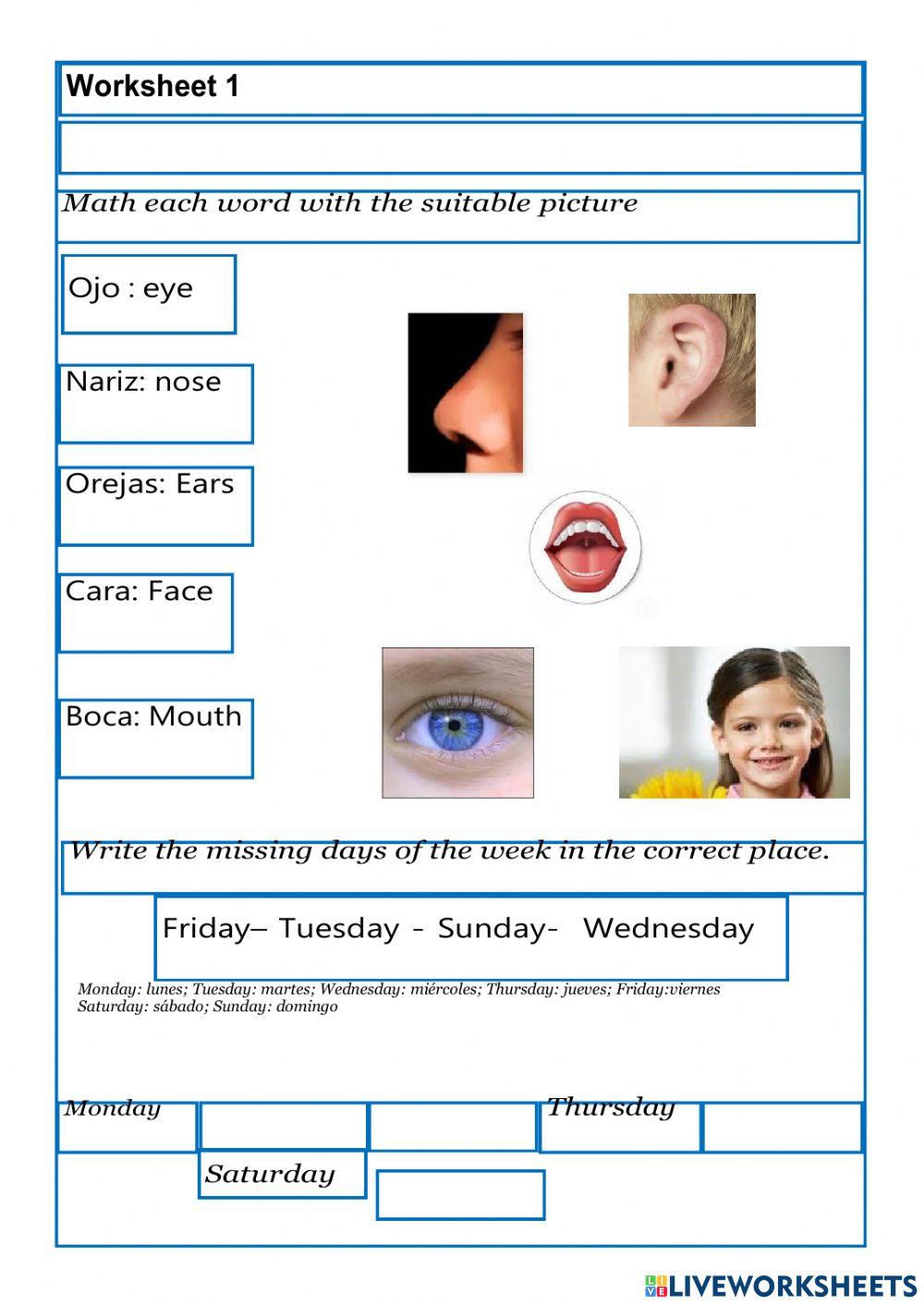 Worksheet 1 adaptación