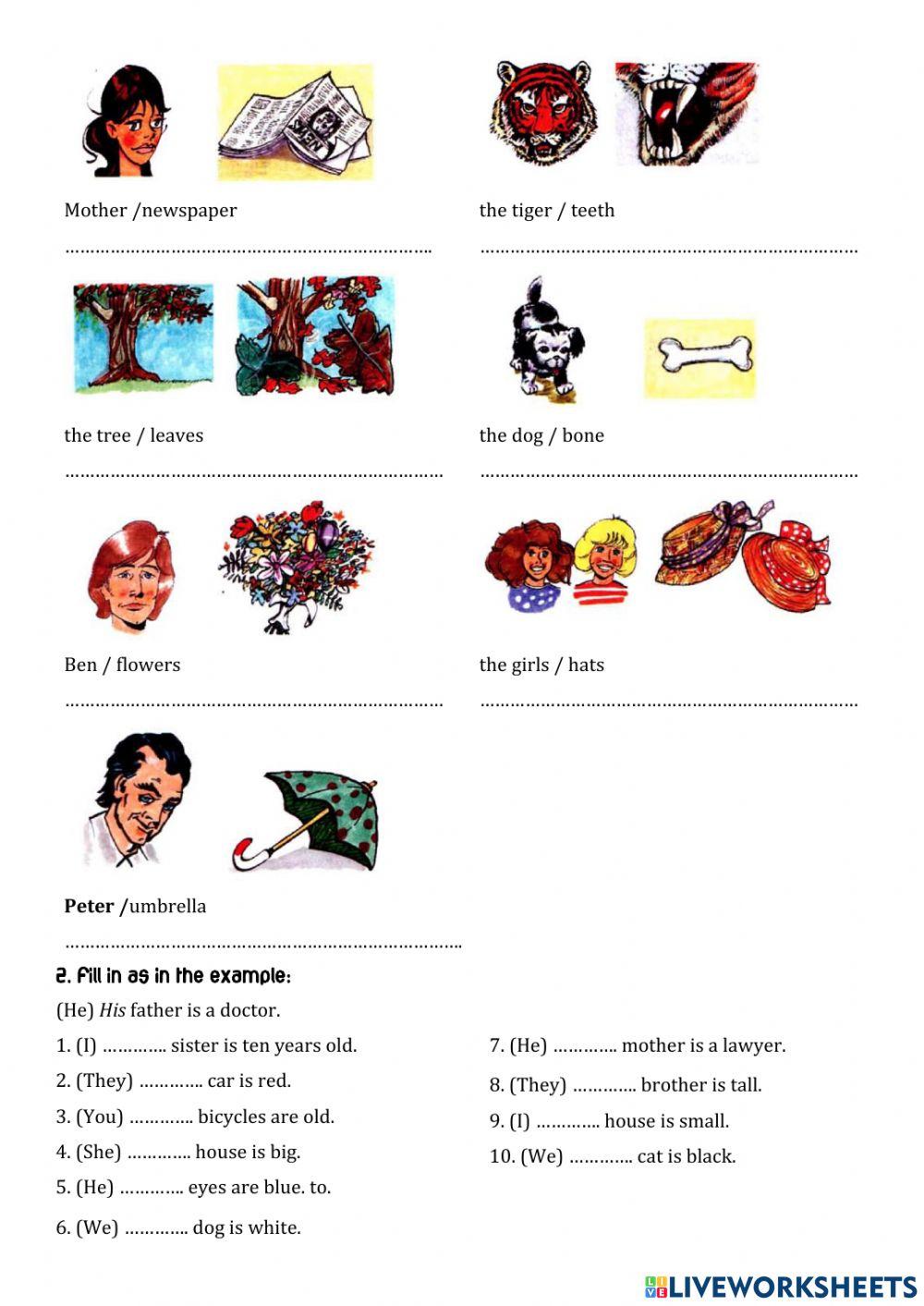 Grammar Genius 1-Round up Grammar