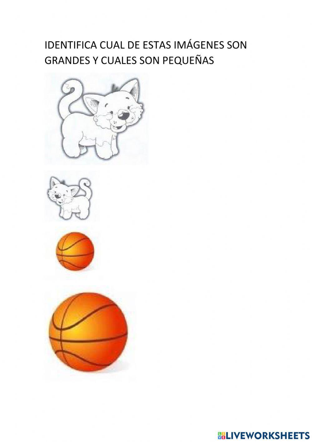 objetos grandes y pequeños