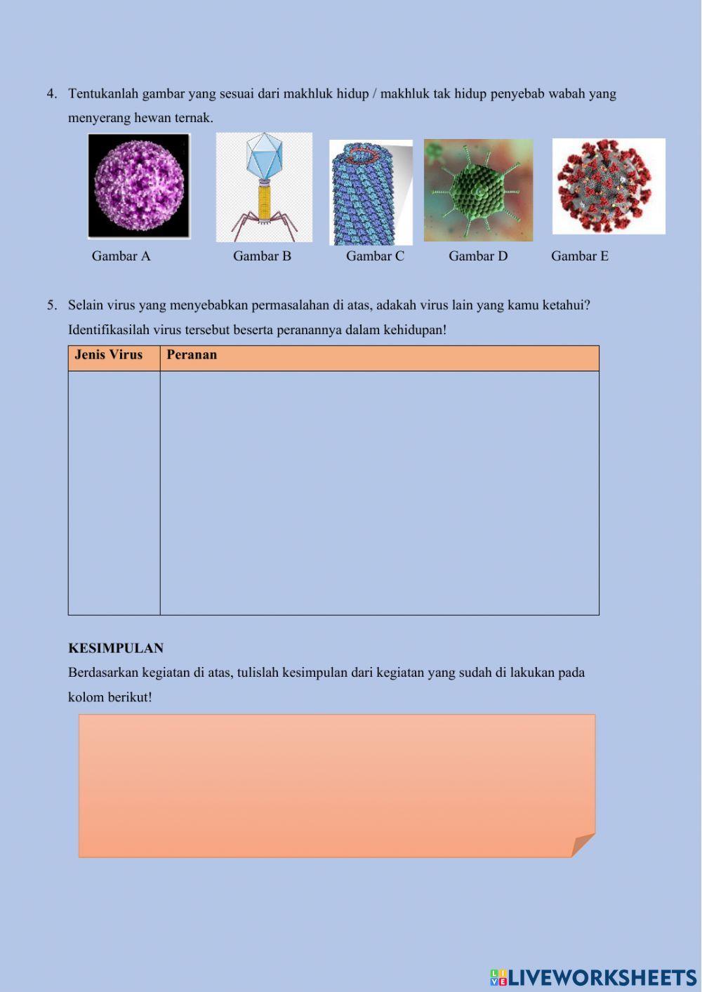 Peranan virus dalam kehidupan