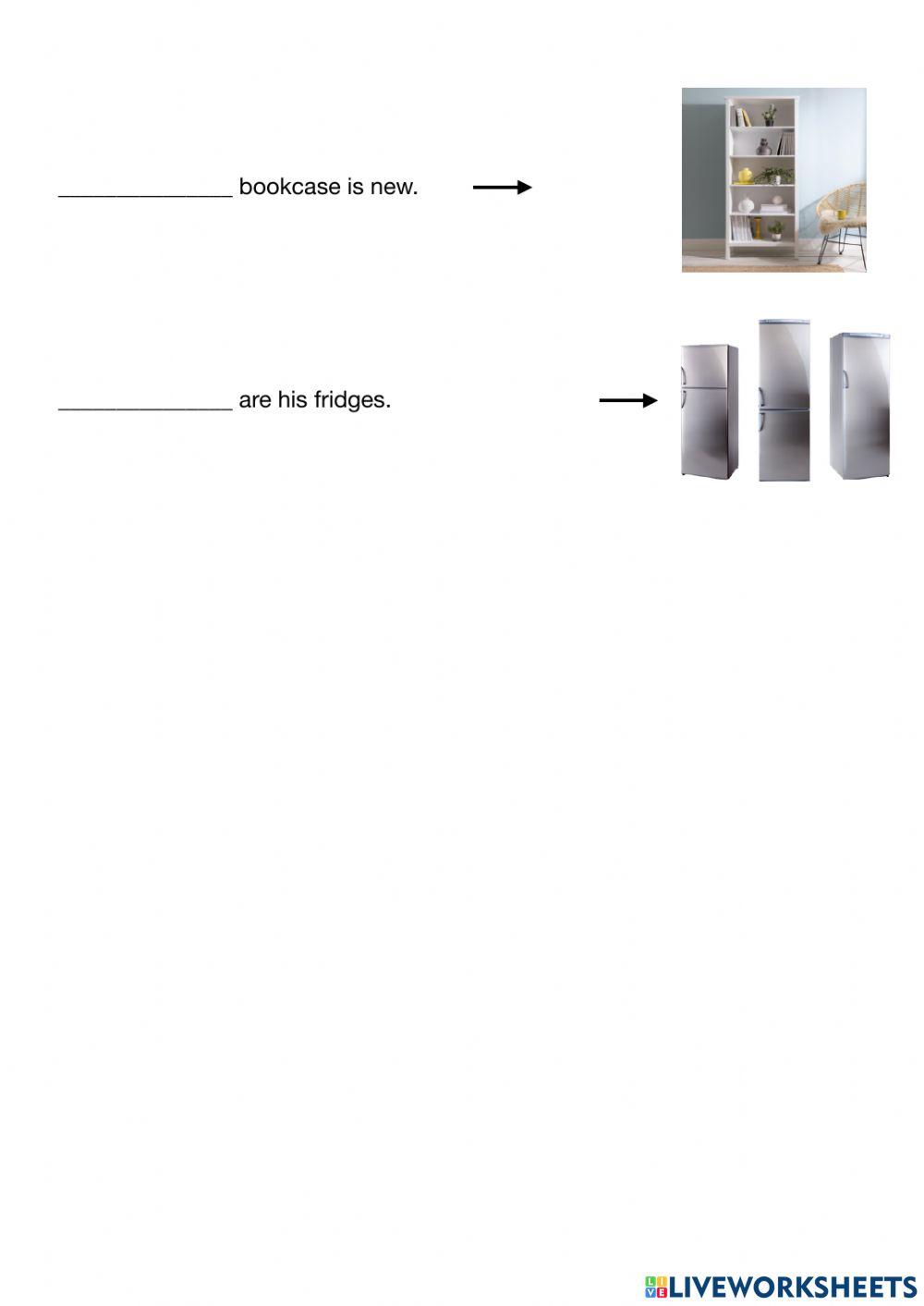 Demonstrative pronouns