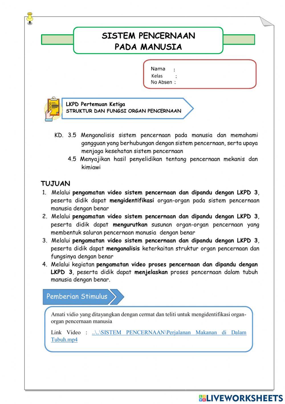 LKPD Sistem Pencernaan