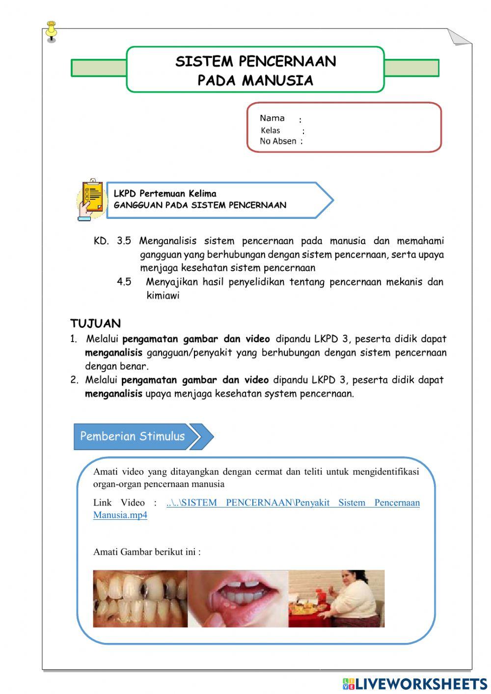 LKPD Sistem Pencernaan