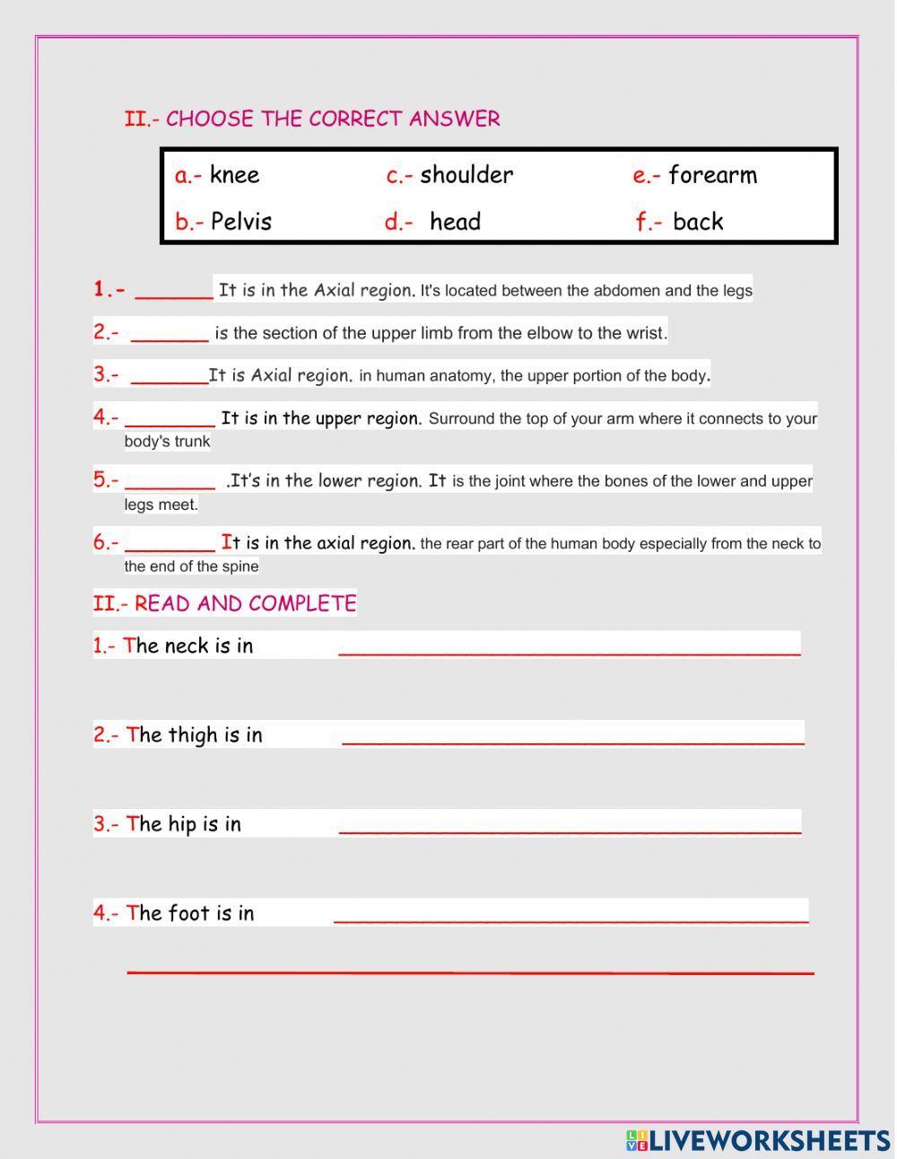 WORKSHEET BODY REGIONS II online exercise for Live Worksheets