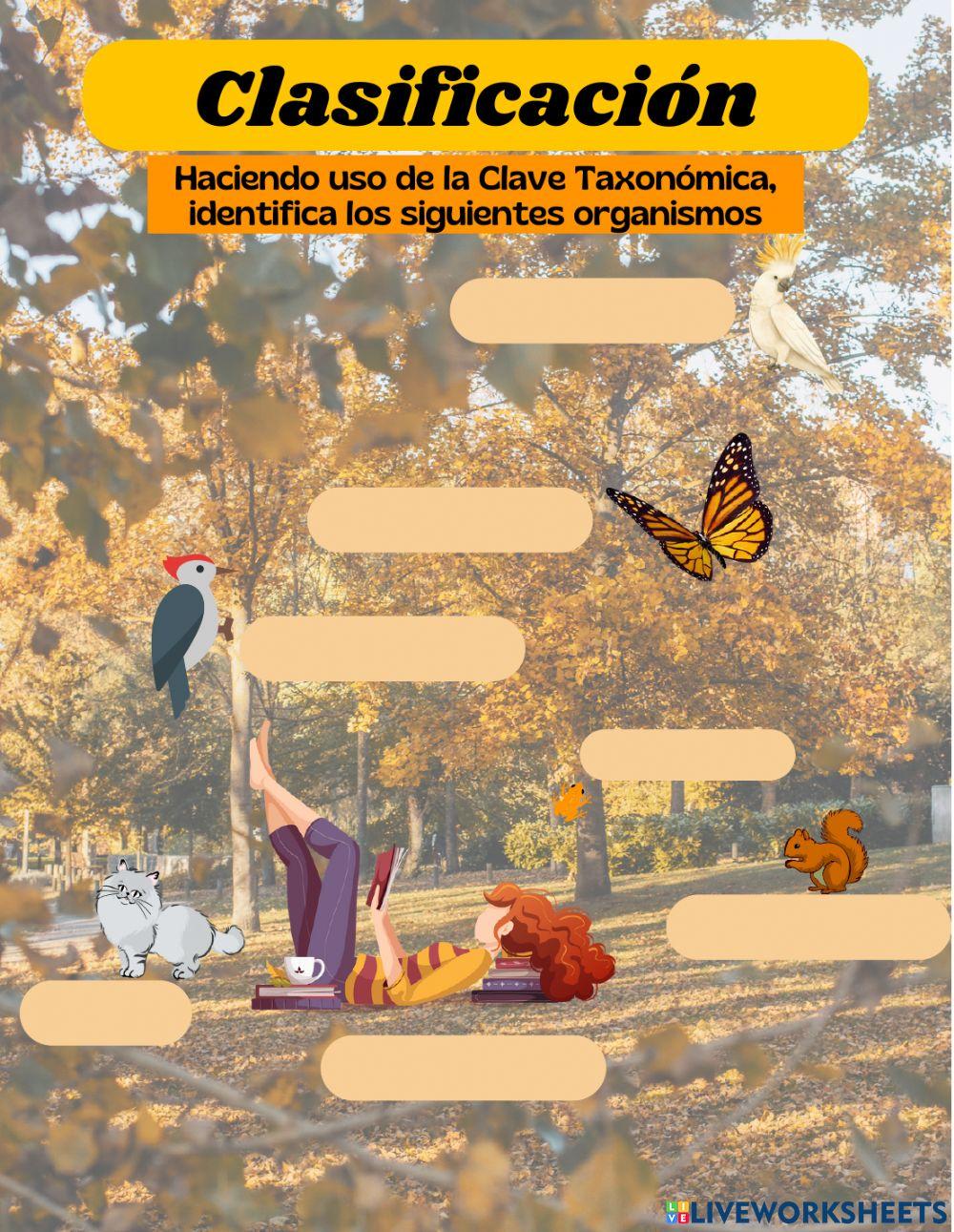 Clasificar organismos