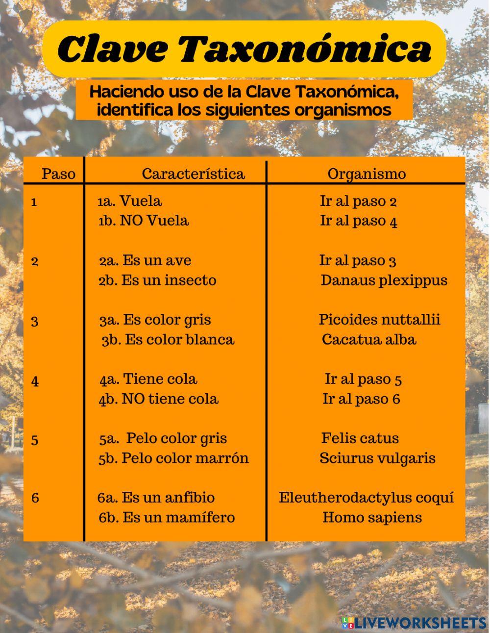 Clasificar organismos