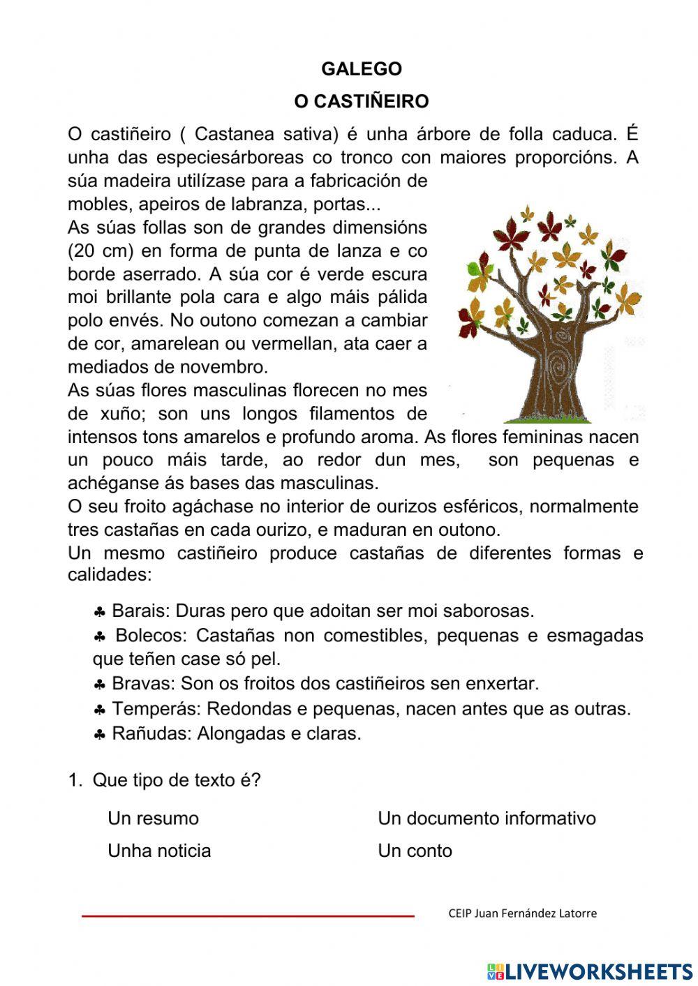 Texto informativo: O castiñeiro