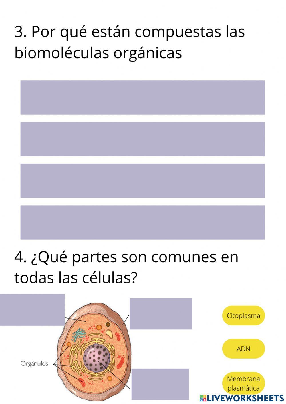 Biología Geología: La Célula