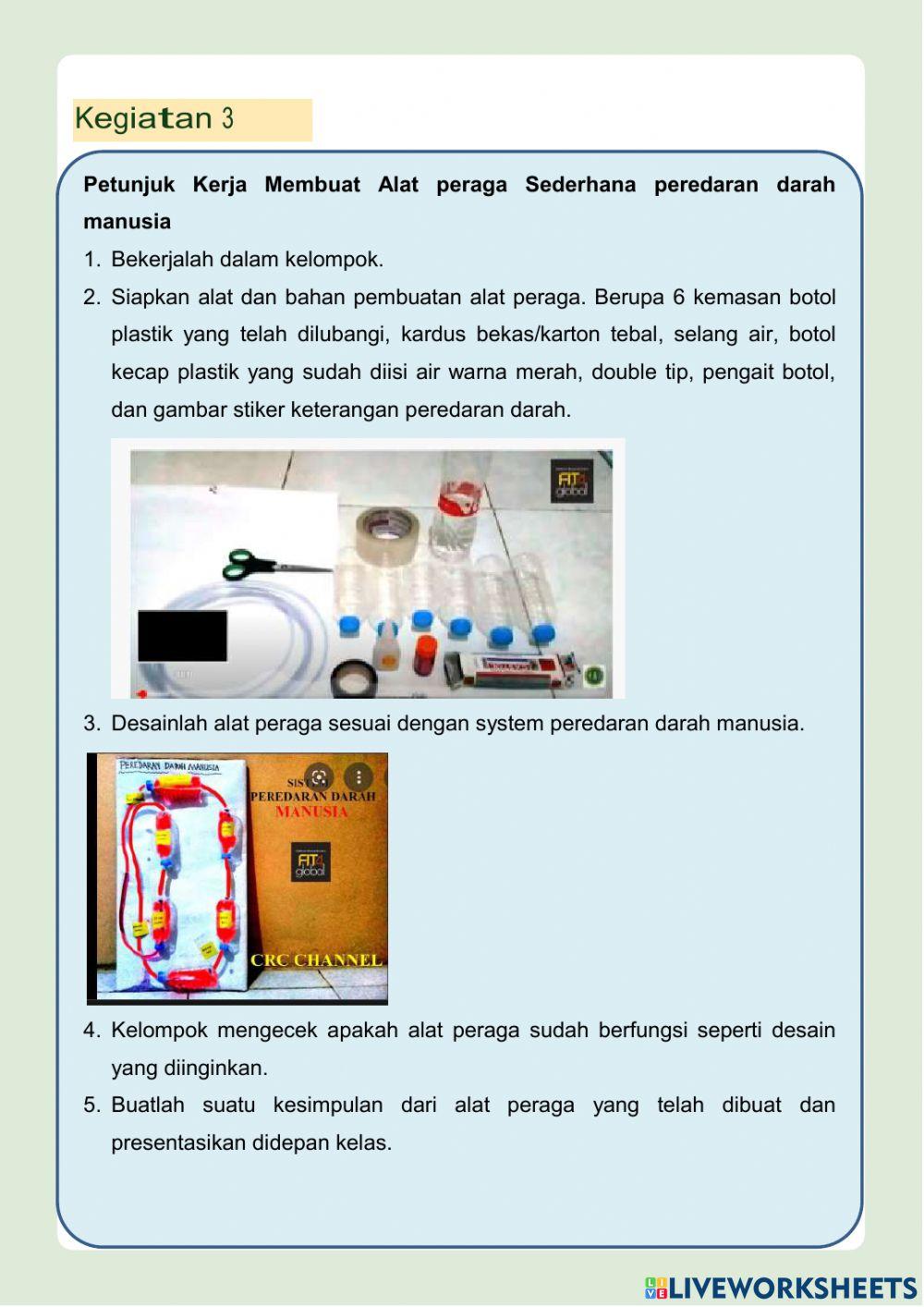 LKPD Sistem Peredaran Darah Manusia