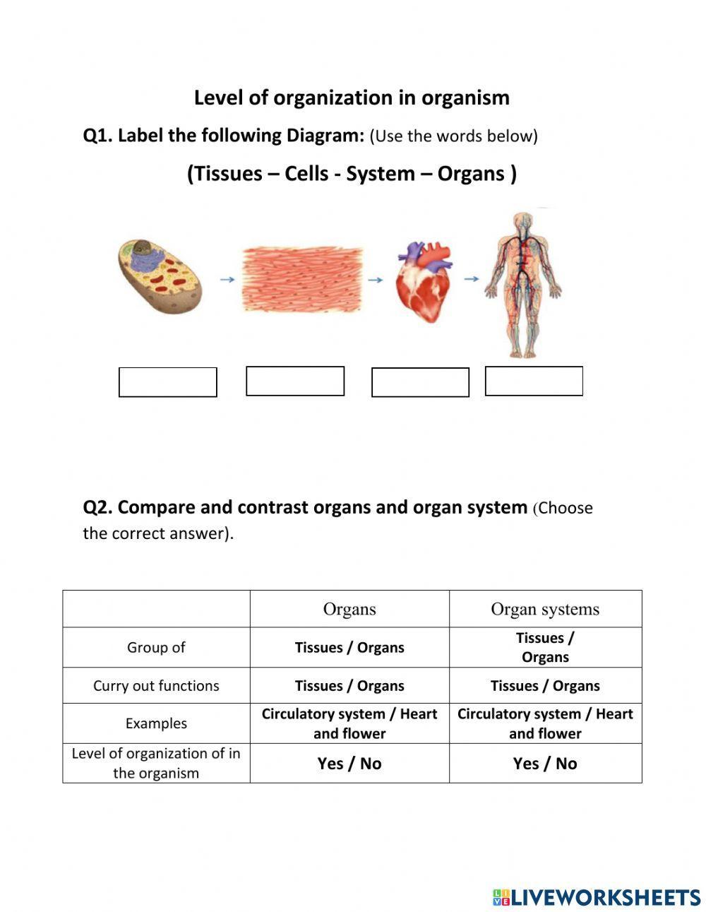 2170100 level of organization in organism abdallah