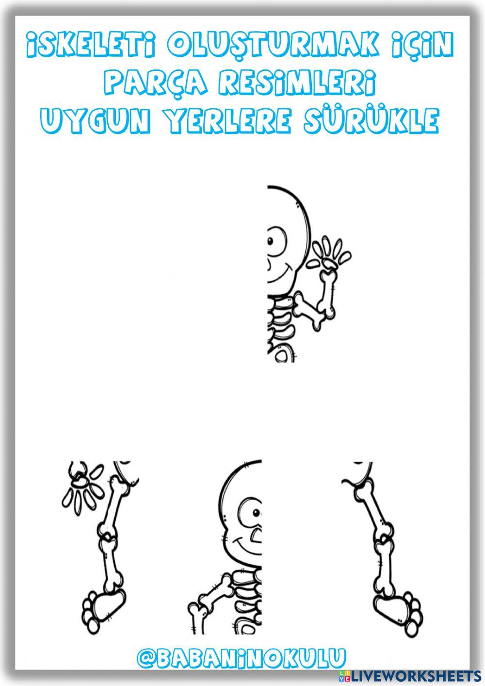 VÜCUDUMUZ VÜCUDUMUZ
