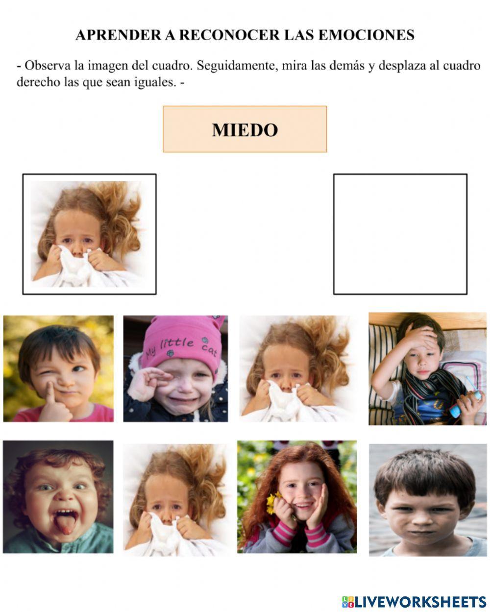 Reconocimiento de las expresiones faciales a partir de fotografías - miedo -