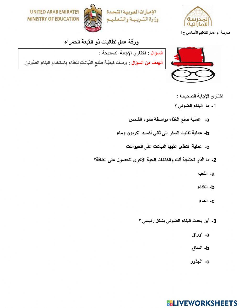 البناء الضوئي