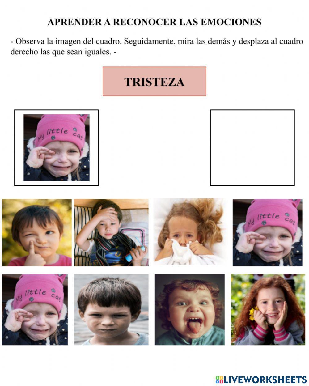 Reconocimiento de las expresiones faciales a partir de fotografías (tristeza)