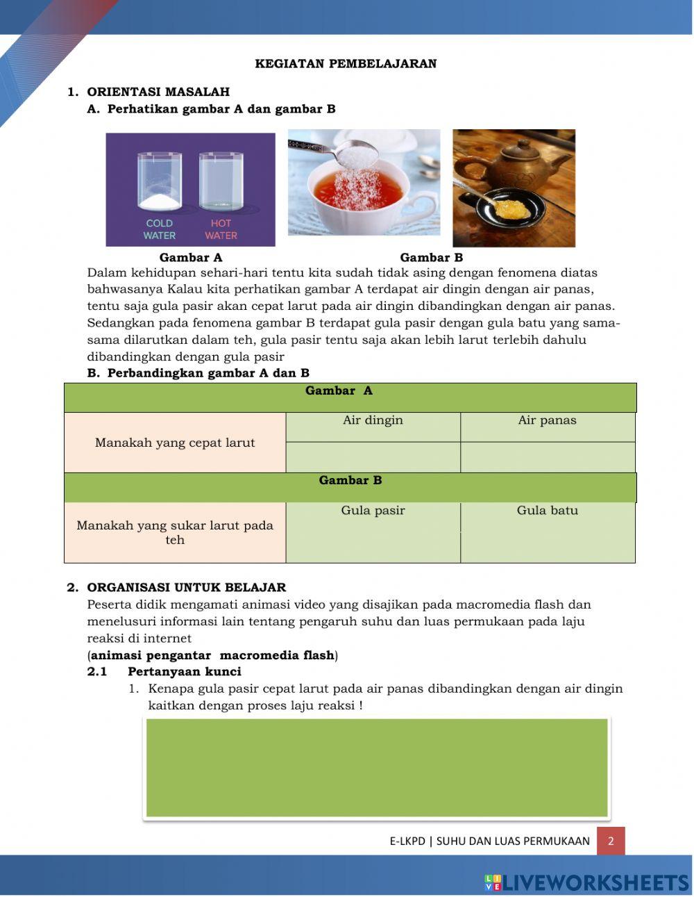 Suhu dan Luas Permukaan